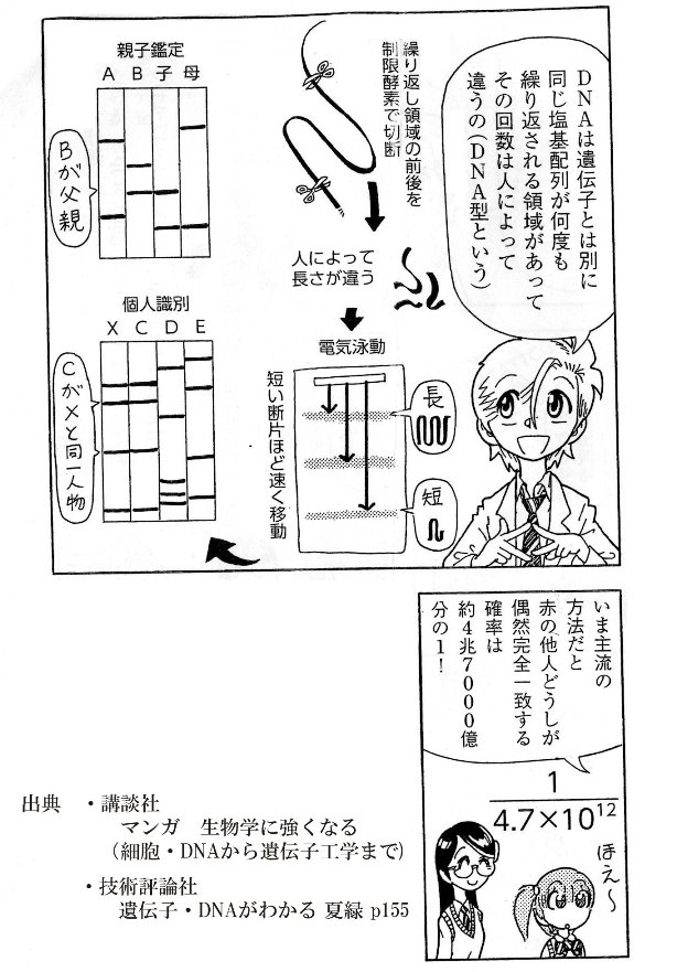 髪遺伝子をICカードに